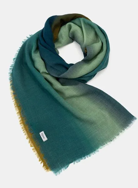Djian Djian ILVIE –Schal aus Merino-Wolle, mulesing-frei, Grün / braun, – Produktbild 1 von 3