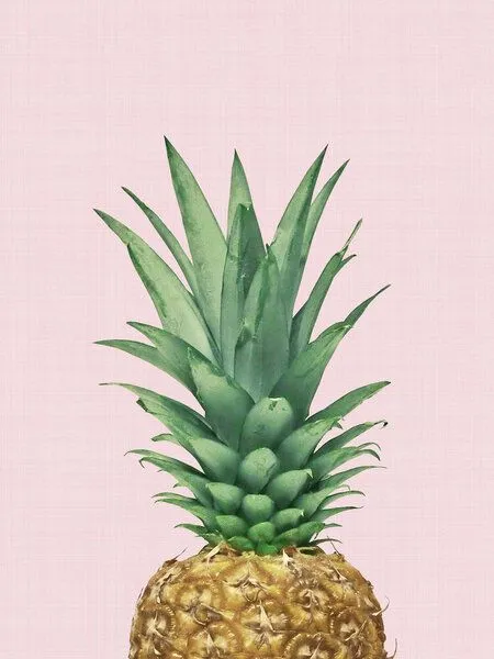 Photocircle Photocircle Poster / Leinwandbild - Pineapple Pink – Produktbild 1 von 4