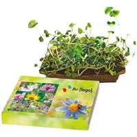 Mini-Pflanzset 'Bienenfreude' mit 1-4-farbigem Aufdruck – Produktbild 1 von 1