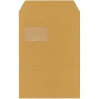 25 C4 Versandt. braun SK m.F. 110g – Produktbild 1 von 1