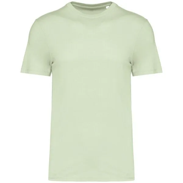 Greenspired Greenspired Umweltfreundliches Unisex-T-Shirt 155g/m² XXS-4XL, Celadon grün, – Produktbild 1 von 1