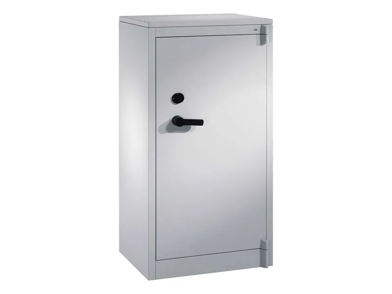 C+P C+P Feuergeschützte Flügeltürenschrank lichtgrau B 65 cm, H 122,6 cm – Produktbild 1 von 1