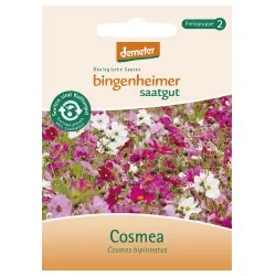 Bingenheimer Saatgut Cosmea – Produktbild 1 von 1