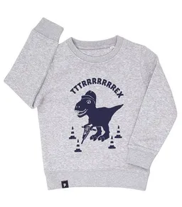 päfjes päfjes Theo Tttrrrrex der Bauarbeiter Dino - Fair Wear Kinder Sweater – Produktbild 1 von 1