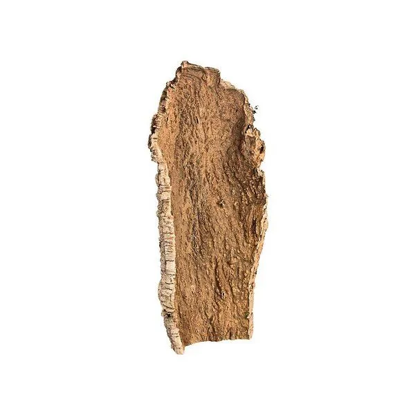 Kork-Deko Kork-Deko Korkrinde: XL Korkstück, 50 x 20 cm – Produktbild 6 von 6