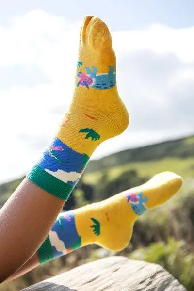 Frugi Frugi Kindersocken in Dreierpack mit Dinosaurus – Produktbild 2 von 3
