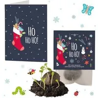 Ideenverlag Hamburg Ideenverlag Hamburg 4x „HoHoHo“ Samenbomben im Tütchen mit Kaltkeimer-Saatgut + 4x Gratis Geschenk Grußkarten / Weihnachtsgruß/Wichtelgeschenk/Weihnachtsgeschenk – Produktbild 1 von 1