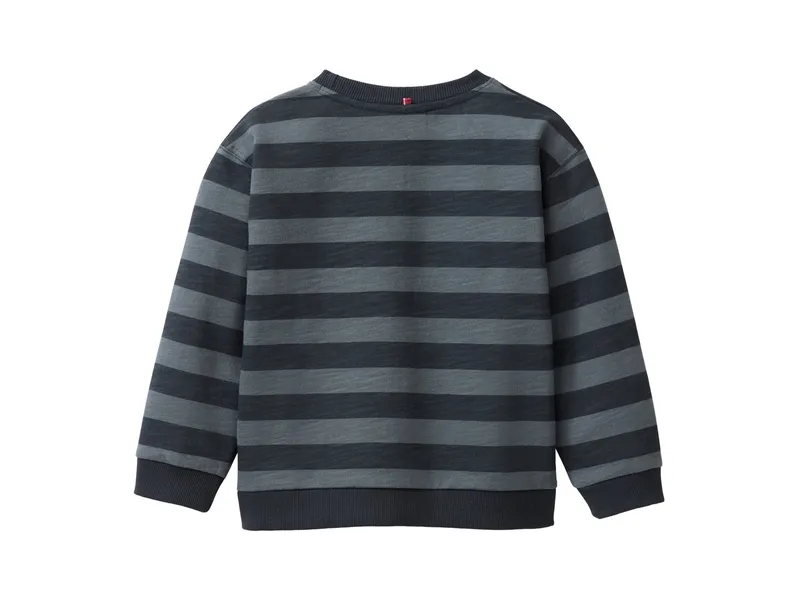 People Wear Organic People Wear Organic Sweat-Pullover Blockstreifen dunkelblau 98/104, Blau, – Produktbild 2 von 2