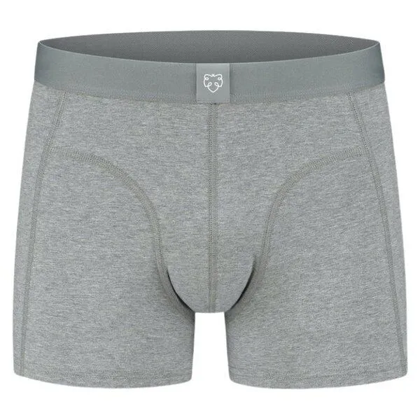 A-Dam A-Dam Boxerbrief Uni, Melo mela (grau), – Produktbild 1 von 1