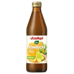 Voelkel Voelkel Kombucha mit Limette & Ingwer MEHRWEG Pfand 0,25 âÇ¬ – Produktbild 1 von 1
