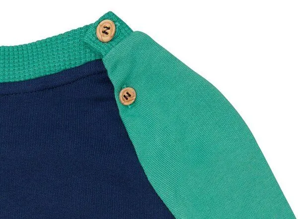 loud + proud loud + proud Babys & Kinder Sweatshirt mit Raglanärmeln, GOTS-zertifiziert, Ultramarine/plant(blau/grün), – Produktbild 3 von 4