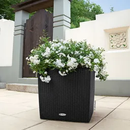 Lechuza® Lechuza® 'Cube Cottage 50', graphitschwarz, ca. 49 x 49 x H 49,5 cm – Produktbild 1 von 1
