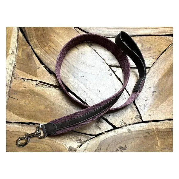 Kork-Deko Kork-Deko Breite Hundeleine aus Kork in BEIGE oder ROT-BRAUN | Leine für Hunde | beige | rot, Beige, – Produktbild 4 von 4