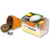 Mini-Pflanzset 'Frohe Ostern' im Tontöpfchen inkl. 1-4 farbigem Aufdruck – Produktbild 1 von 1