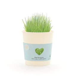 Die Stadtgärtner Die Stadtgärtner Herzrasen Anzuchtset als romantisches Geschenk | Nachhaltige Geschenkidee für Valentinstag, Liebesbotschaften & Jahrestag – Produktbild 1 von 1