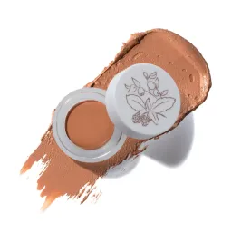 100% PURE® - Purity Cosmetics Fruit Pigments Long Last Concealer + Super Fruits - Toffee – Produktbild 1 von 1