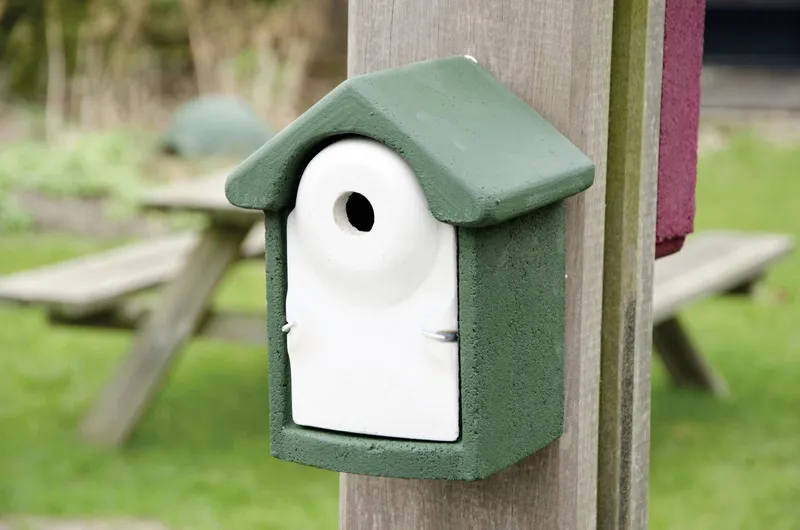 Wildlife Nistkasten Nistkasten für Jungvögel Holzbeton 18,5 x 16,5 cm, Grün, – Produktbild 1 von 2