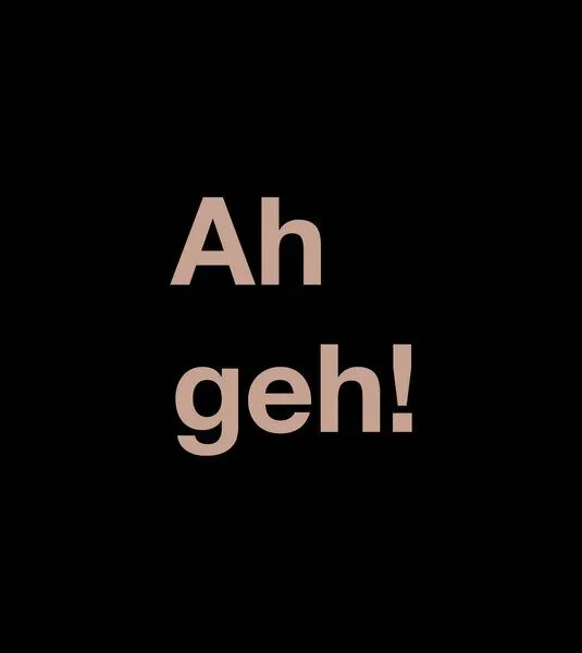Gary Mash GARY MASH Shirt Asheville Ah geh! aus Bio-Baumwolle, Schwarz, – Produktbild 4 von 4