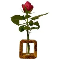 Olivenholz erleben Olivenholz erleben Vase QUENTIN aus Olivenholz – Produktbild 1 von 1