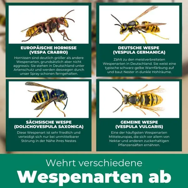 Silberkraft Silberkraft Wespenspray – Produktbild 4 von 4