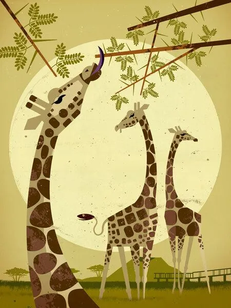 Photocircle Photocircle Poster / Leinwandbild - Giraffen – Produktbild 1 von 4