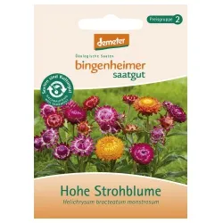 Bingenheimer Saatgut Hohe Strohblume – Produktbild 1 von 1