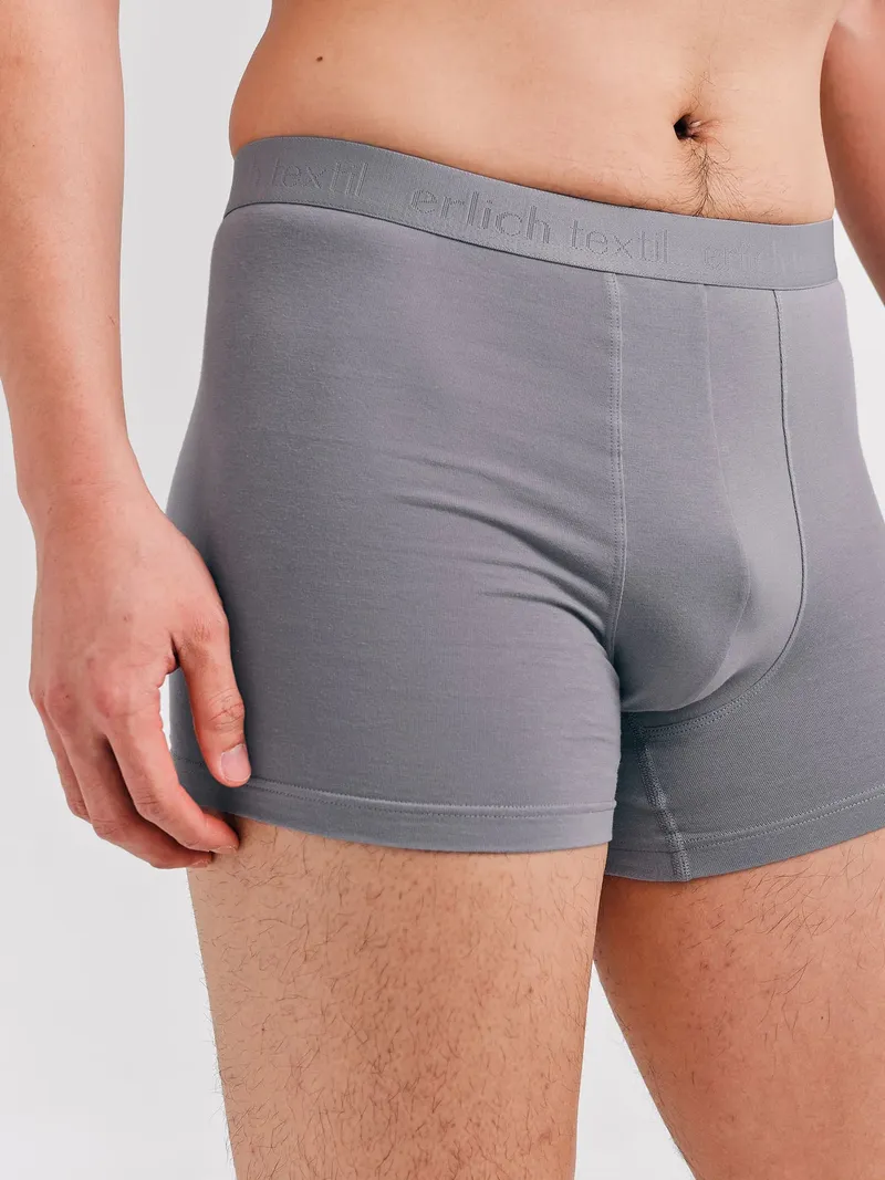erlich textil erlich textil Casual Cotton Pants, enge Boxershorts aus Bio-Baumwolle, made in Europe, Steingrau, – Produktbild 1 von 6