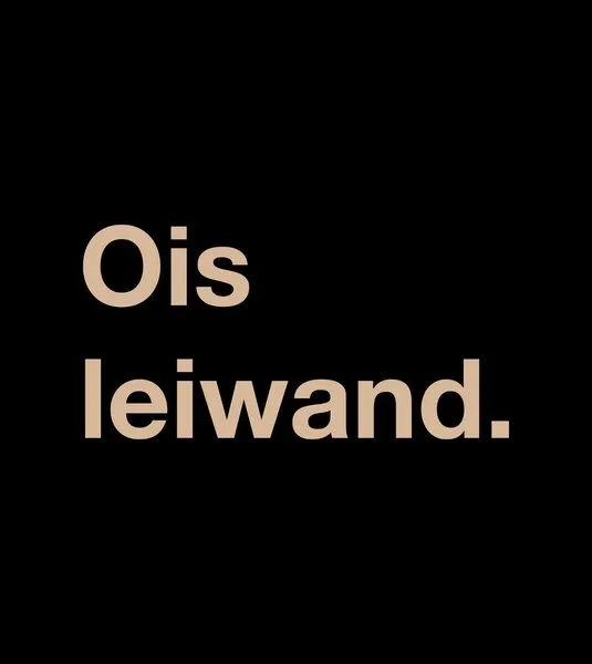 Gary Mash GARY MASH T-Shirt Ois leiwand. aus Biobaumwolle, Schwarz, – Produktbild 4 von 4