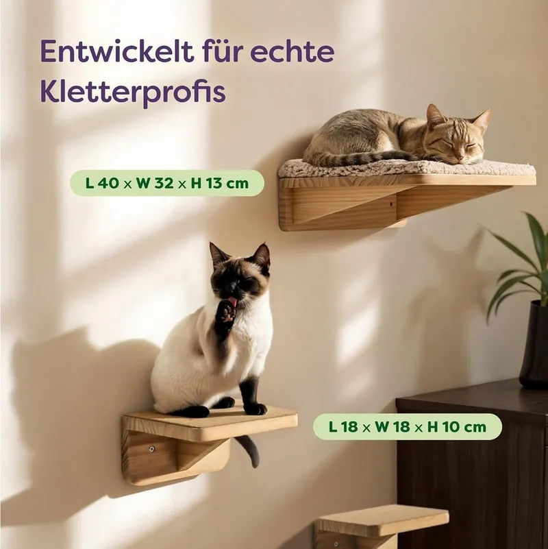 Knupis Kratzbaum Katzen Kletterwand Set mit Katzenbett & 2X Katzentreppe - Kiefernholz, Stabile Wandliege bis 30 kg – Für Spielspaß & Gemütlichkeit - FSC®, Beige, – Produktbild 2 von 5