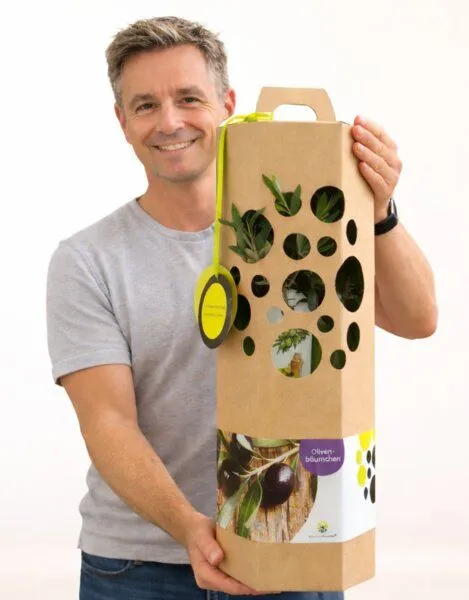 SchenkeinBäumchen SchenkeinBäumchen Olivenbaum – Produktbild 3 von 4