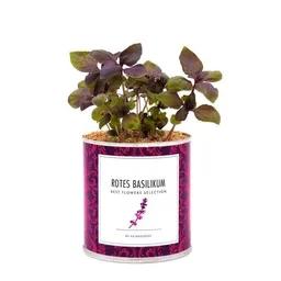 MacFlowers MacFlowers Pflanzen in der Dose - rotes Basilikum / Basilico rosso – Produktbild 1 von 1