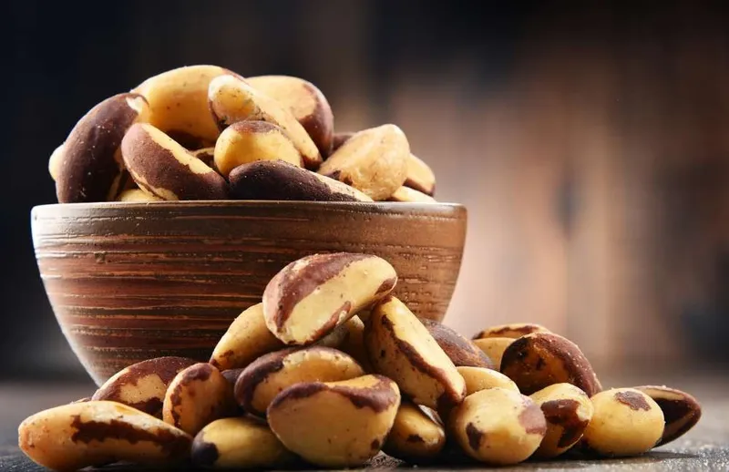 1001 Frucht Nüsse Paranusskerne aus Bolivien - Limitierte Qualität – Produktbild 5 von 5
