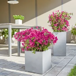 Lechuza® Lechuza® 'Canto Stone 40 low', steingrau, ca. 40 x 40 x H 40 cm – Produktbild 1 von 1