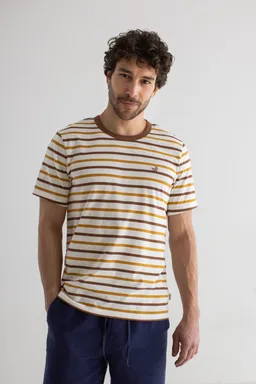 TWOTHIRDS TWOTHIRDS Herren vegan T-Shirt Burleigh Retro Stripes Braun – Produktbild 1 von 1