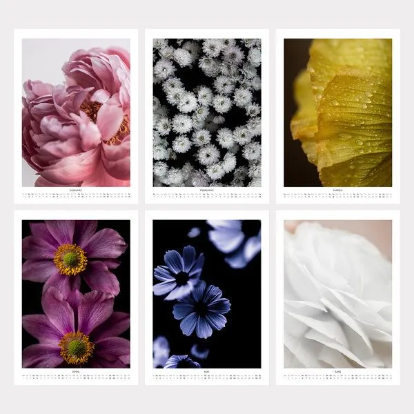 Photocircle Photocircle Blumen Wandkalender 2027 – In Bloom – Produktbild 2 von 4