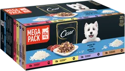 Cesar CESAR Portionsbeutel Multipack Senior Selektion in Gelee 4 Varietäten 40x100g – Produktbild 1 von 1