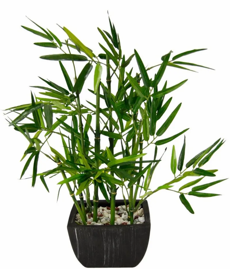 Kunstpflanze Bambus Bambus, I.GE.A., Höhe 45 cm, Grün, – Produktbild 2 von 3
