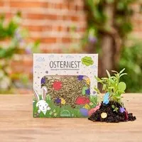Die Stadtgärtner Ostergras-Konfetti von "Die Stadtgärtner" | Saatgut für Ostergras mit bunten Saatpapierförmchen mit Wildblumensaatgut – Produktbild 1 von 1