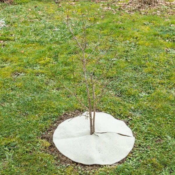 Andermatt Biogarten Andermatt Biogarten Mulchscheiben aus Schweizer Schafwolle – Produktbild 8 von 8