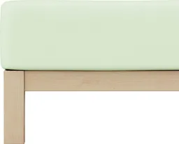 Schlafgut Schlafgut Spannbettlaken PURE Bio-Baumwolle mit Elasthan, 170 g/m², Bettlaken, Spannbetttuch, Jersey, Gummizug: rundum, (1 Stück), PREMIUM Laken für Matratzen bis 30cm Höhe, dehnbar blickdicht, straff – Produktbild 1 von 1