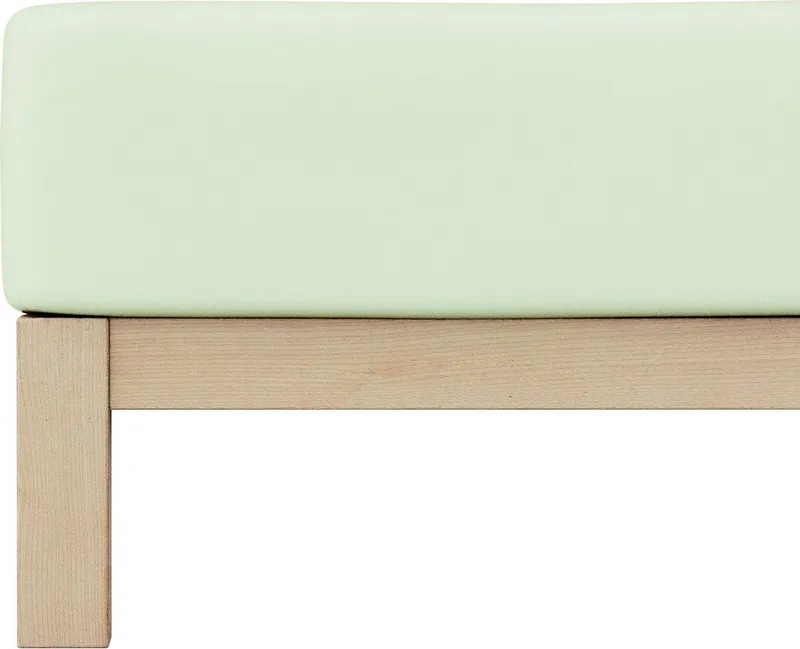 Schlafgut Schlafgut Spannbettlaken PURE Bio-Baumwolle mit Elasthan, 170 g/m², Bettlaken, Spannbetttuch, Jersey, Gummizug: rundum, (1 Stück), PREMIUM Laken für Matratzen bis 30cm Höhe, dehnbar blickdicht, straff, Grün, – Produktbild 1 von 5
