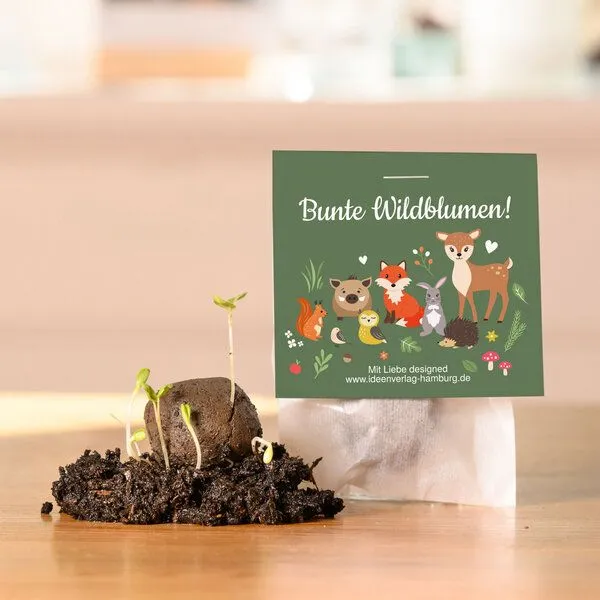Ideenverlag Hamburg Ideenverlag Hamburg 10 Waldtiere Samenbomben im Tütchen mit Wildblumensaatgut | Nachhaltiges Mitgebsel für Kindergeburtstage & Naturgeschenk für kleine Entdecker:innen – Produktbild 1 von 4