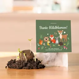 Ideenverlag Hamburg Ideenverlag Hamburg 10 Waldtiere Samenbomben im Tütchen mit Wildblumensaatgut | Nachhaltiges Mitgebsel für Kindergeburtstage & Naturgeschenk für kleine Entdecker:innen – Produktbild 1 von 1