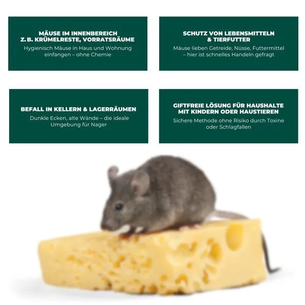 Silberkraft Silberkraft Lebendfalle für Mäuse aus Draht - Mäusefalle - tierfreundliche Alternative zu Schlagfallen und Giftköder – Produktbild 4 von 4