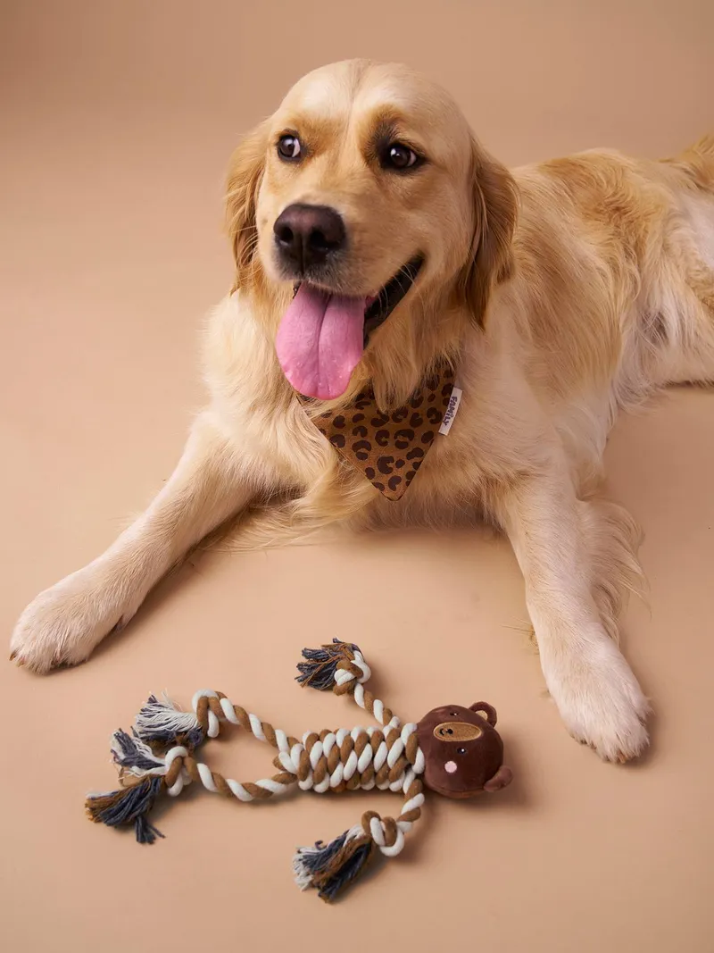 Vertbaudet Hundespielzeug Löwe mit Seilkörper, Braun, – Produktbild 4 von 4