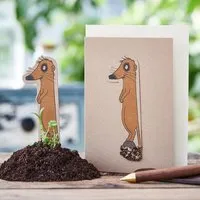 Die Stadtgärtner Die Stadtgärtner Karte zum 1. Geburtstag | Tiermotiv mit Blumensamen zum Einpflanzen – Produktbild 1 von 1