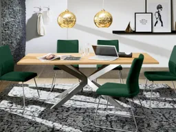 allnatura Tisch "Aurana" | 90x160 cm | Edelstahl gebürstet – Produktbild 1 von 1