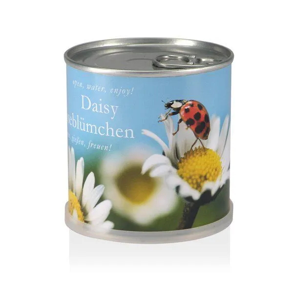 MacFlowers MacFlowers Pflanzen in der Dose - Gänseblümchen – Produktbild 1 von 4