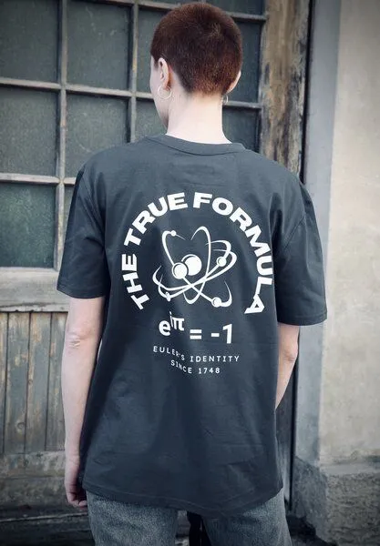 TORLAND Torland T-Shirt Euler's Identity True Generation, Grau (india ink grey), – Produktbild 1 von 3