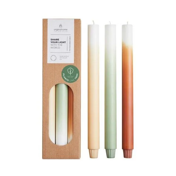 Originalhome Originalhome Farbverlaufskerzen für bewusste Geschenke S/3 - paraffinfrei & vegan, Pine tree, – Produktbild 1 von 4